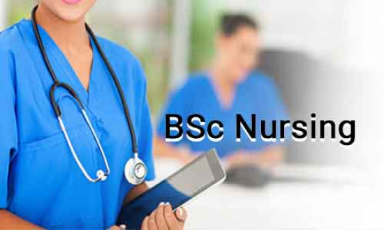 B.Sc Nursing | S.N.S. Institute Of Nursing Science